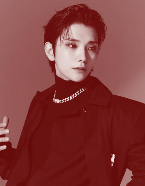 Hong Jisoo Seventeen